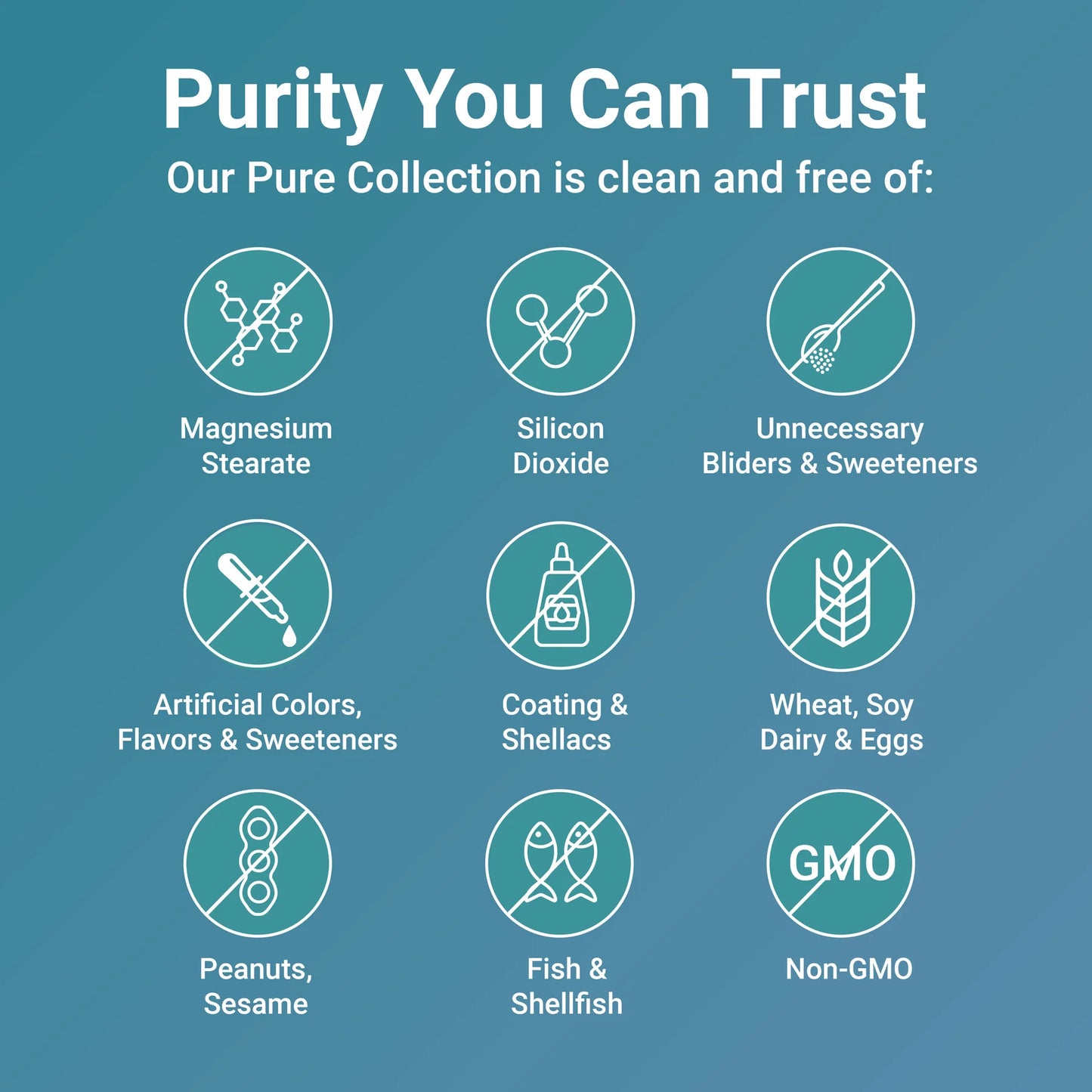 RootRevive Curcumin Complex | Max Strength 1000mg